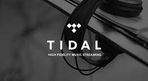 tidal carplay